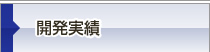 開発実績